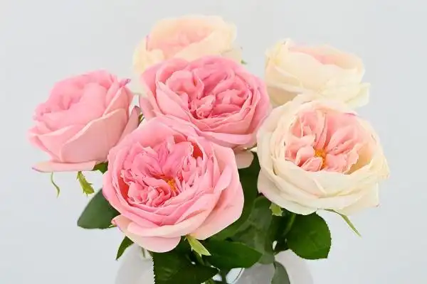 Are real touch roses waterproof?